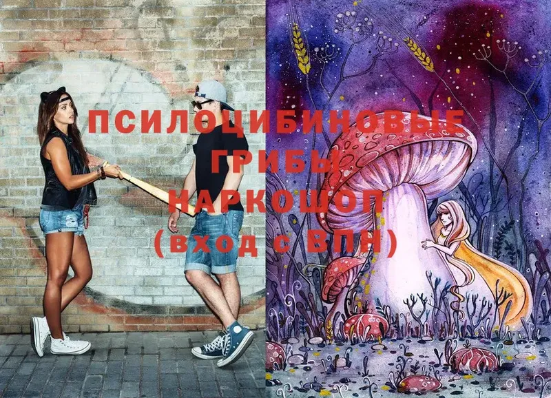 Псилоцибиновые грибы MAGIC MUSHROOMS  купить  сайты  MEGA ССЫЛКА  Дубовка 